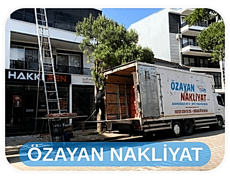 Asansörlü Nakliyat